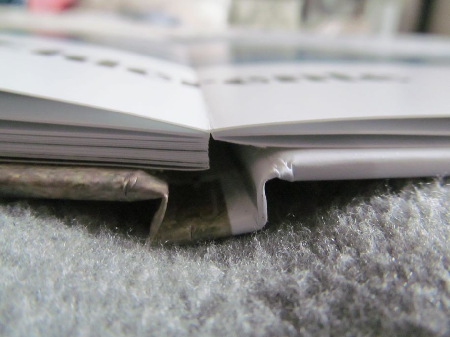 Die Leporellobindung bei einem Fotobuch auf Fotopapier im Detail. Auffallend sind die flachanliegenden Seiten die große Panoramen im Fotobuch über zwei Seiten erlauben