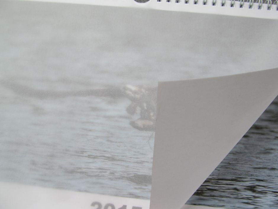 Ein Schutzblatt bewahrt das Deckblatt des Fotokalenders vor Schaden beim Versand.
