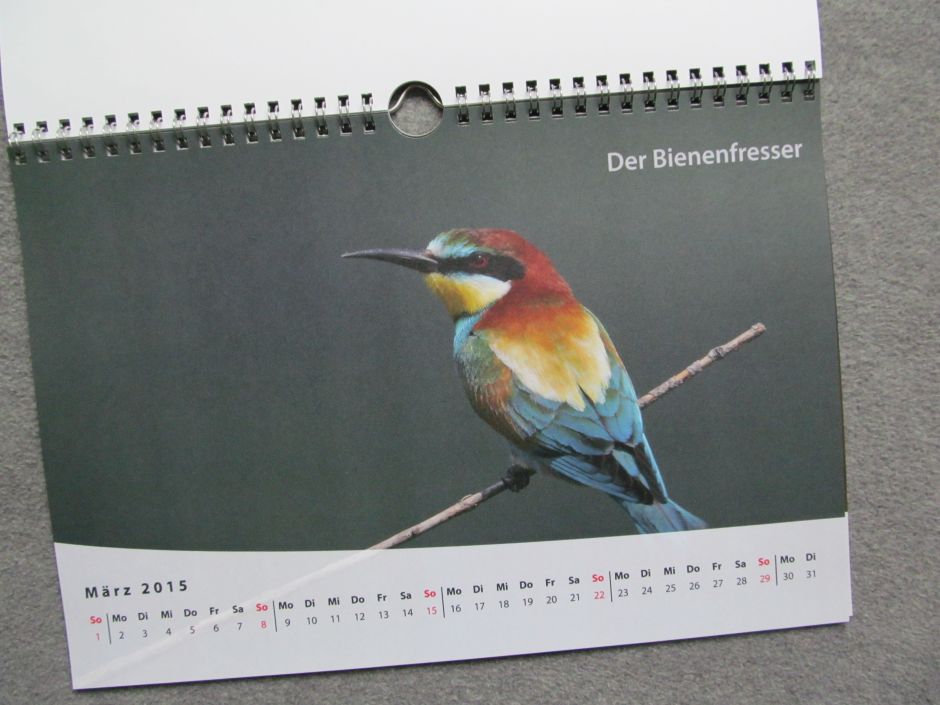 Beispielseite aus unserem Jahreskalender von Saal Digital mit dem Foto eines Bienenfressers